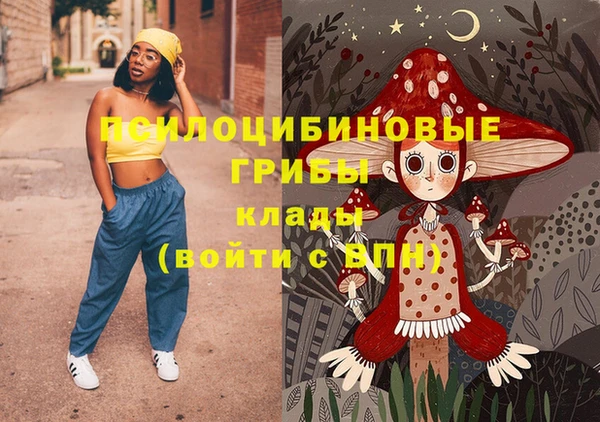 первитин Лабытнанги