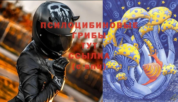 метадон Лагань